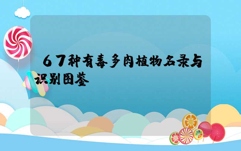 67种有毒多肉植物名录与识别图鉴