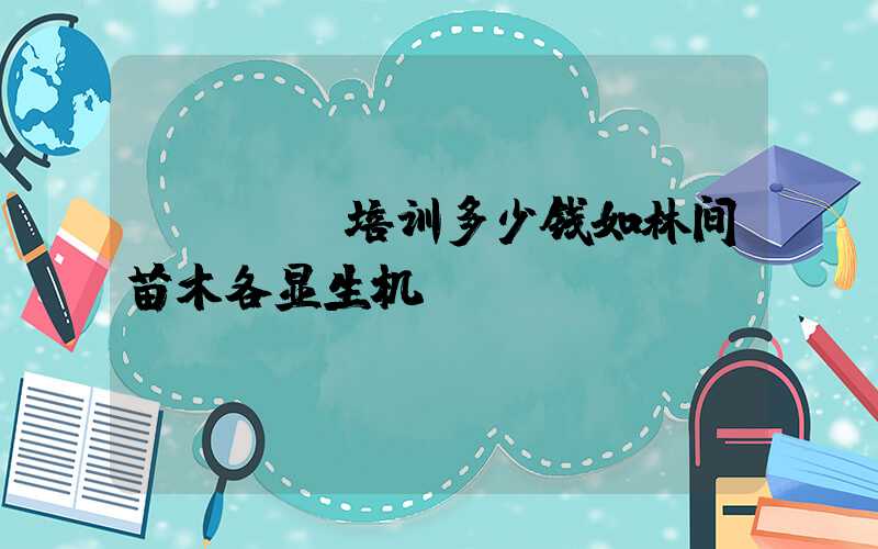 Java培训多少钱如林间苗木各显生机