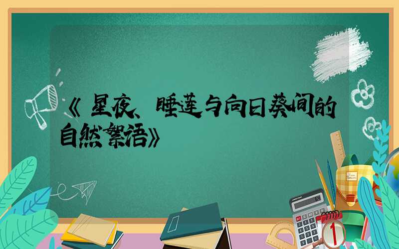 《星夜、睡莲与向日葵间的自然絮语》