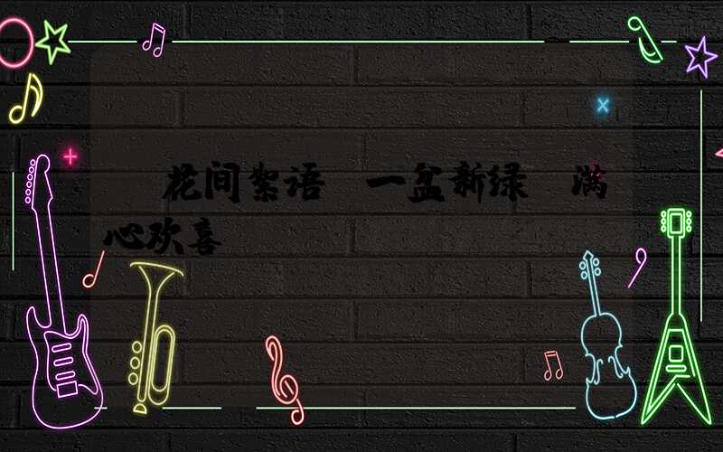 《花间絮语：一盆新绿，满心欢喜》