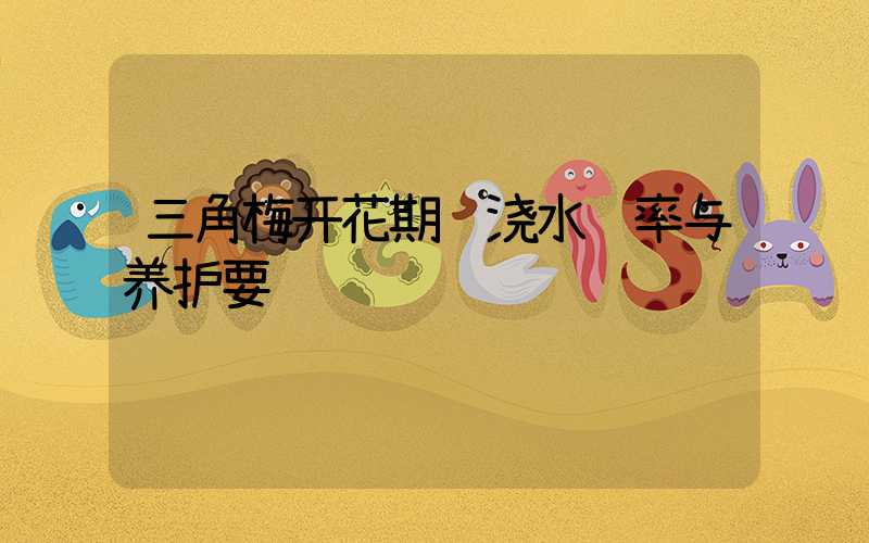 三角梅开花期间浇水频率与养护要诀