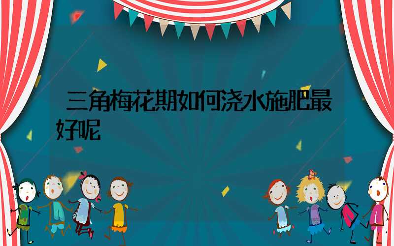 三角梅花期如何浇水施肥最好呢