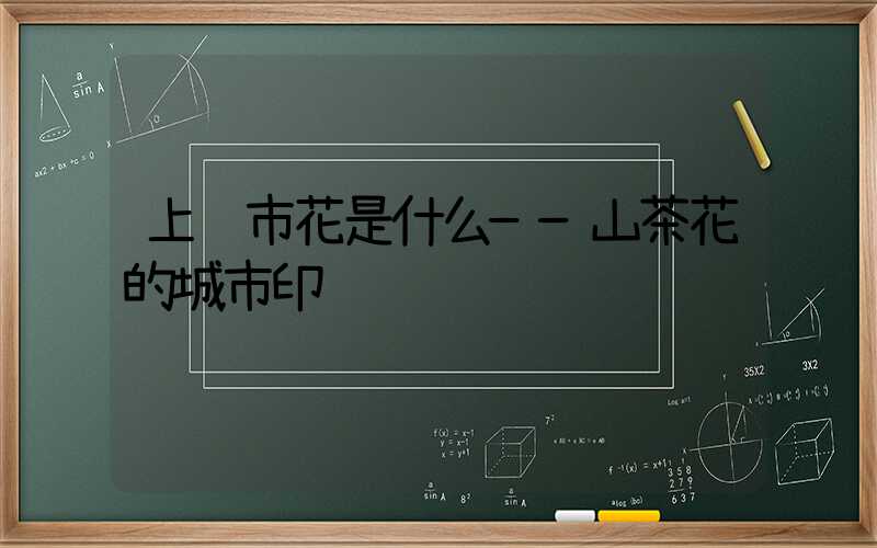 上饶市花是什么——山茶花的城市印记