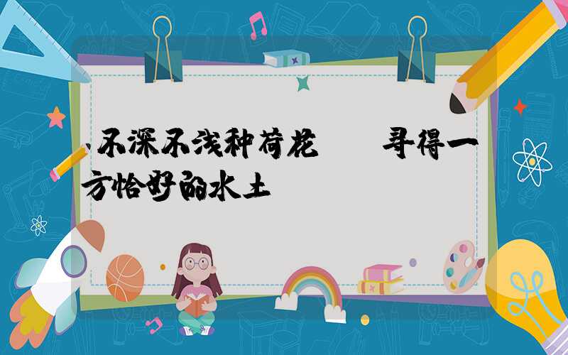 不深不浅种荷花——寻得一方恰好的水土