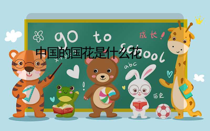 中国的国花是什么花