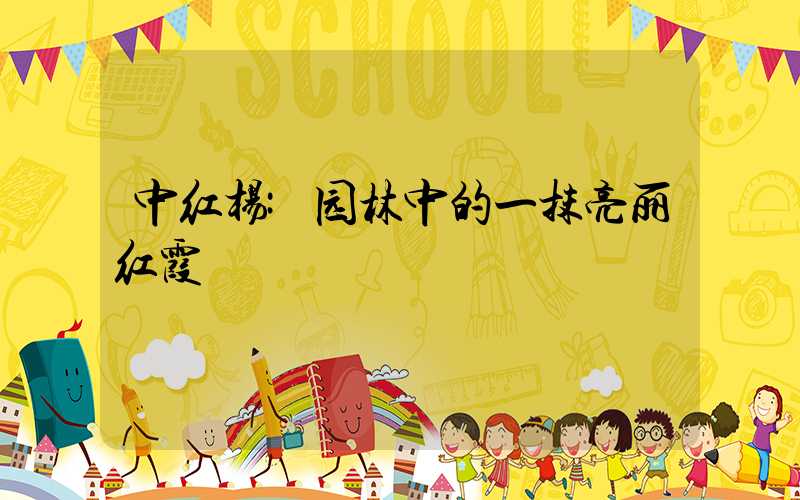 中红杨:园林中的一抹亮丽红霞
