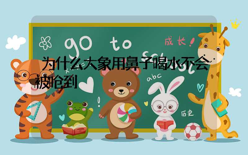 为什么大象用鼻子喝水不会被呛到