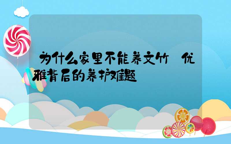为什么家里不能养文竹:优雅背后的养护难题