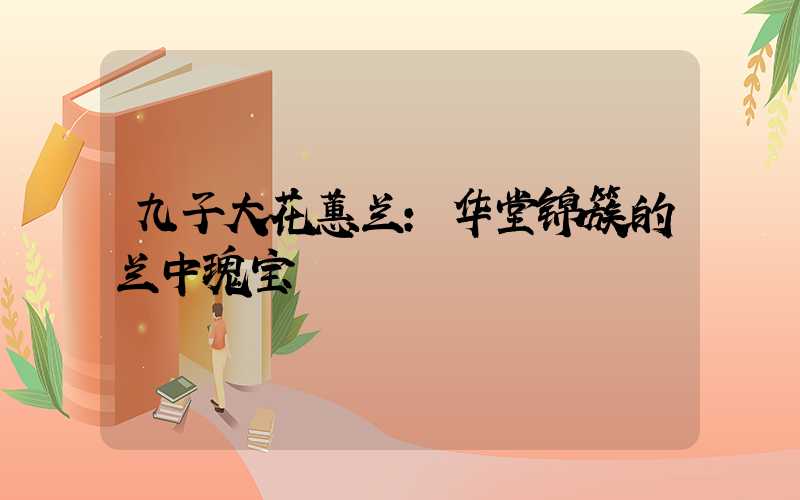 九子大花蕙兰:华堂锦簇的兰中瑰宝