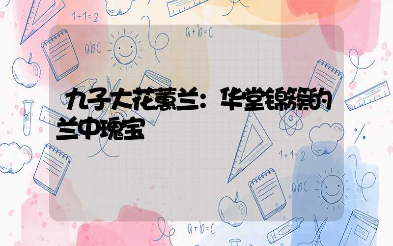 九子大花蕙兰：华堂锦簇的兰中瑰宝