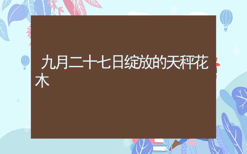 九月二十七日绽放的天秤花木