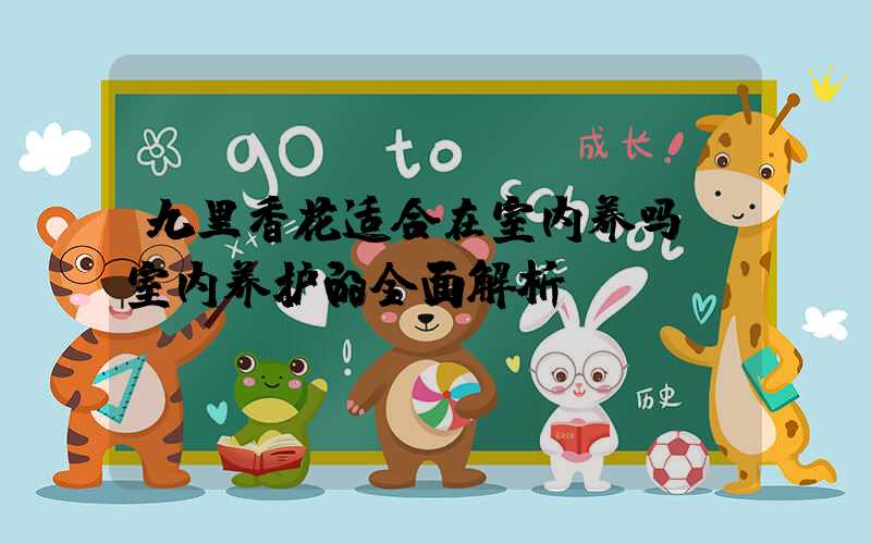 九里香花适合在室内养吗：室内养护的全面解析