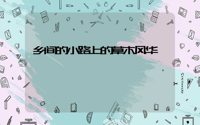 乡间的小路上的草木风华