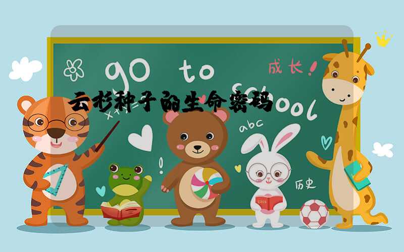 云杉种子的生命密码