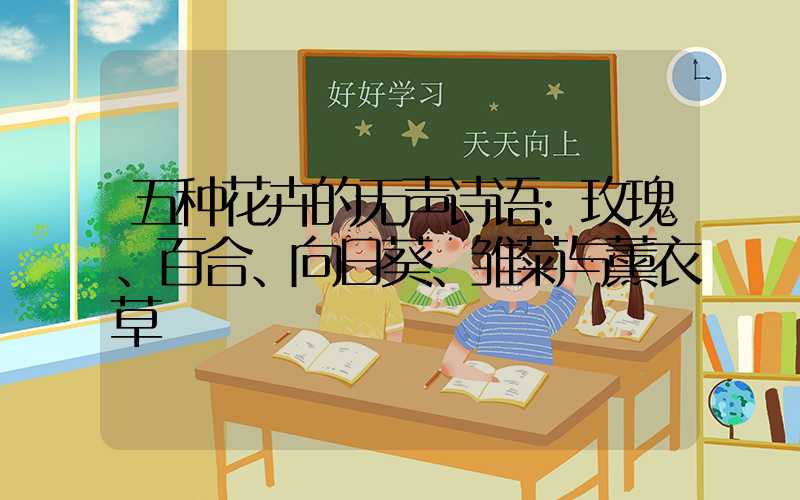 五种花卉的无声诗语:玫瑰、百合、向日葵、雏菊与薰衣草