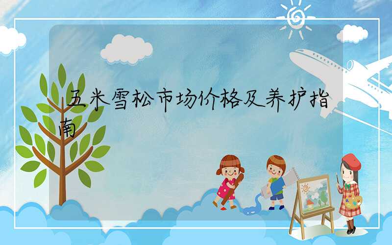 五米雪松市场价格及养护指南