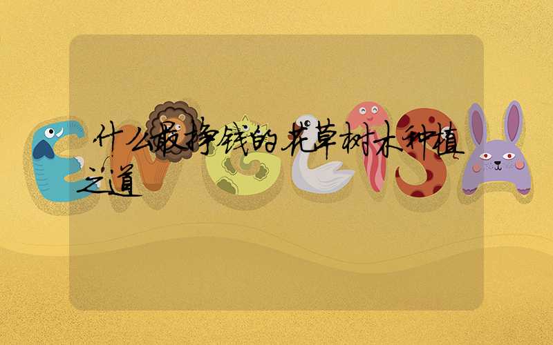 什么最挣钱的花草树木种植之道