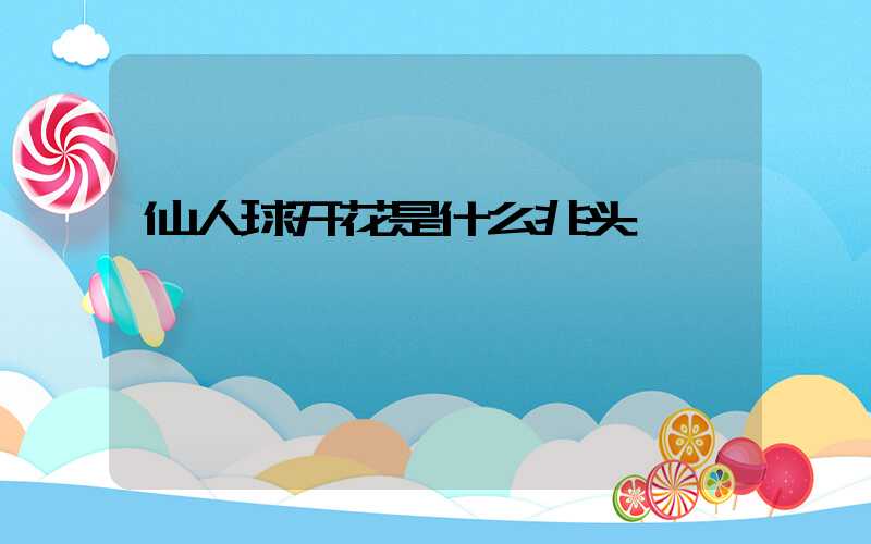 仙人球开花是什么兆头