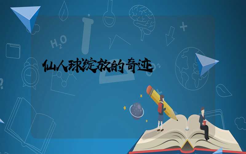 仙人球绽放的奇迹