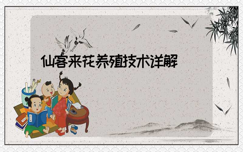 仙客来花养殖技术详解