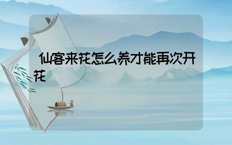 仙客来花怎么养才能再次开花