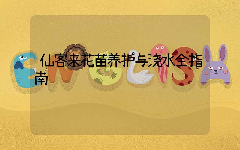 仙客来花苗养护与浇水全指南