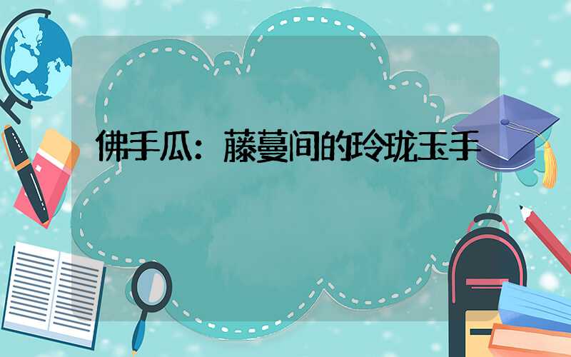 佛手瓜：藤蔓间的玲珑玉手