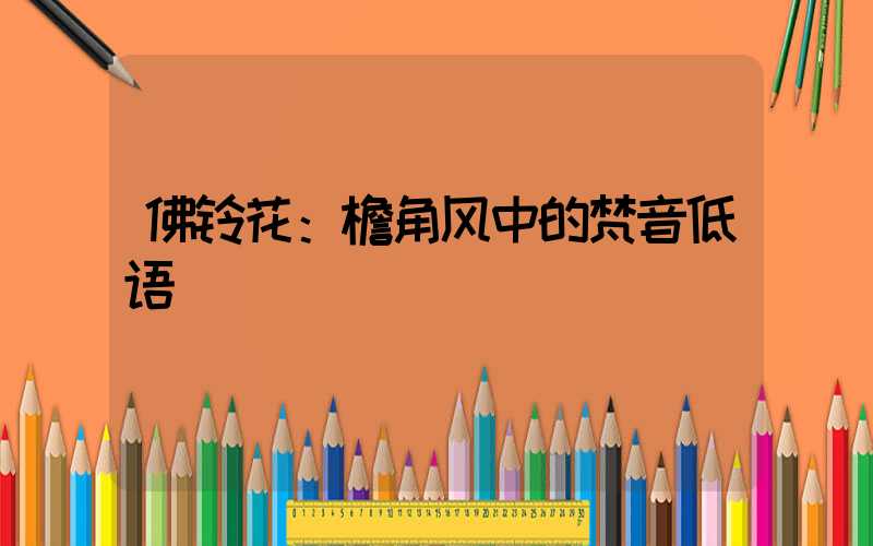 佛铃花：檐角风中的梵音低语