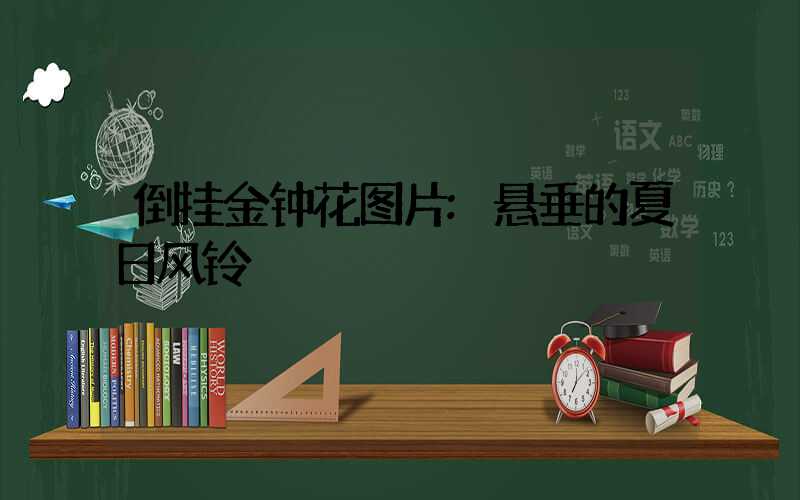 倒挂金钟花图片:悬垂的夏日风铃