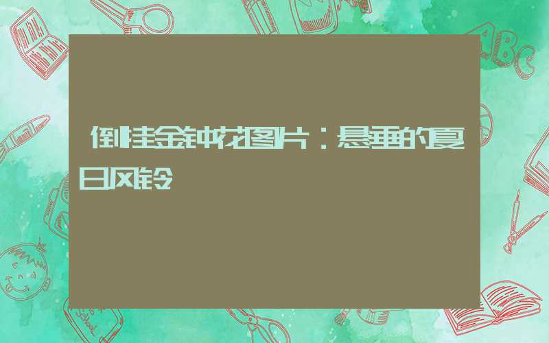 倒挂金钟花图片：悬垂的夏日风铃