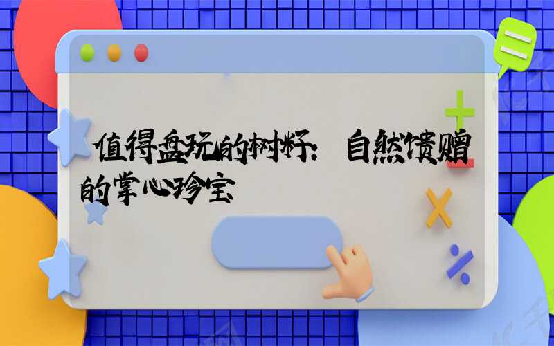 值得盘玩的树籽:自然馈赠的掌心珍宝