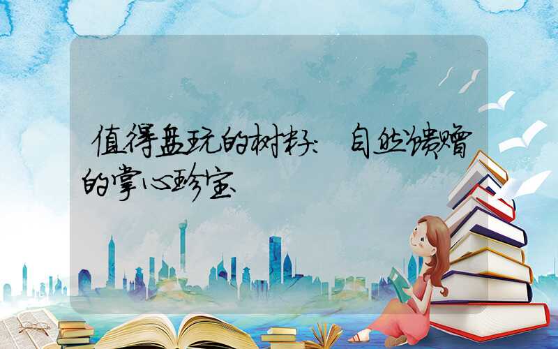 值得盘玩的树籽：自然馈赠的掌心珍宝