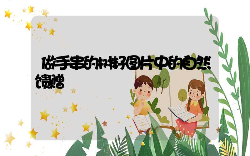 做手串的树籽图片中的自然馈赠