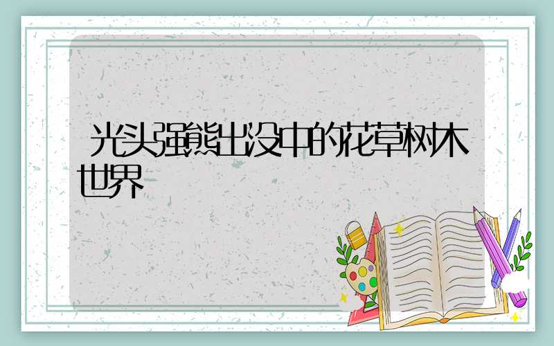 光头强熊出没中的花草树木世界