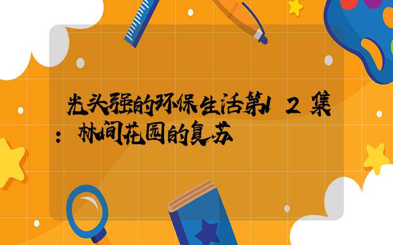 光头强的环保生活第12集：林间花园的复苏