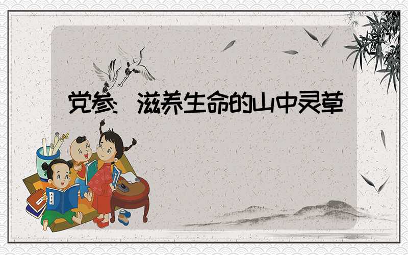 党参:滋养生命的山中灵草