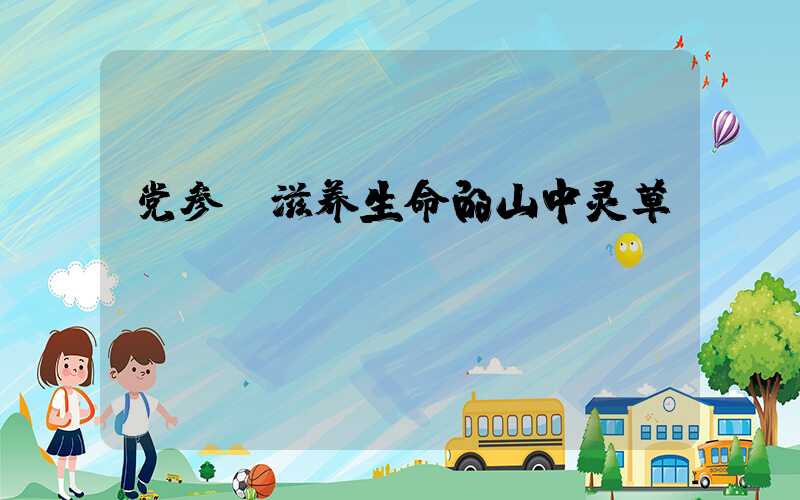 党参：滋养生命的山中灵草