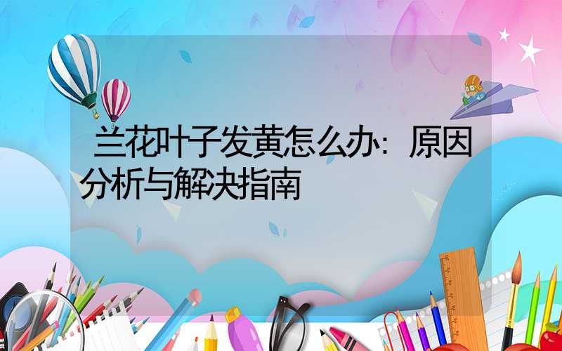 兰花叶子发黄怎么办:原因分析与解决指南