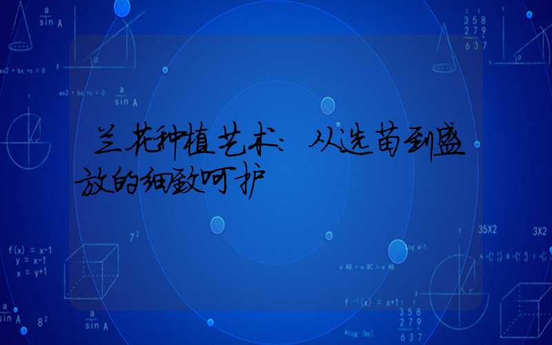 兰花种植艺术：从选苗到盛放的细致呵护