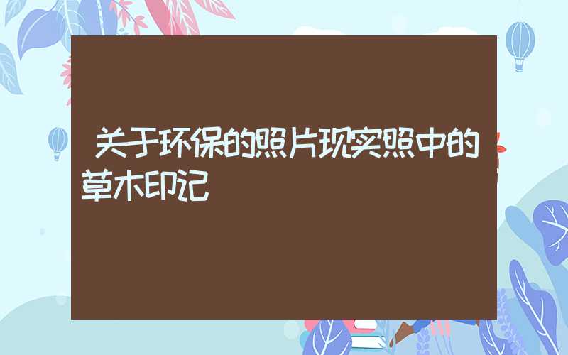 关于环保的照片现实照中的草木印记
