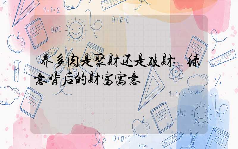 养多肉是聚财还是破财:绿意背后的财富寓意