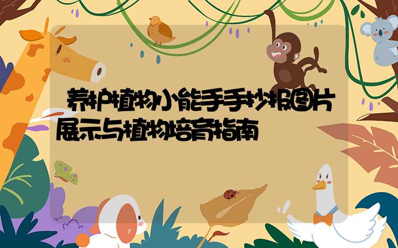 养护植物小能手手抄报图片展示与植物培育指南