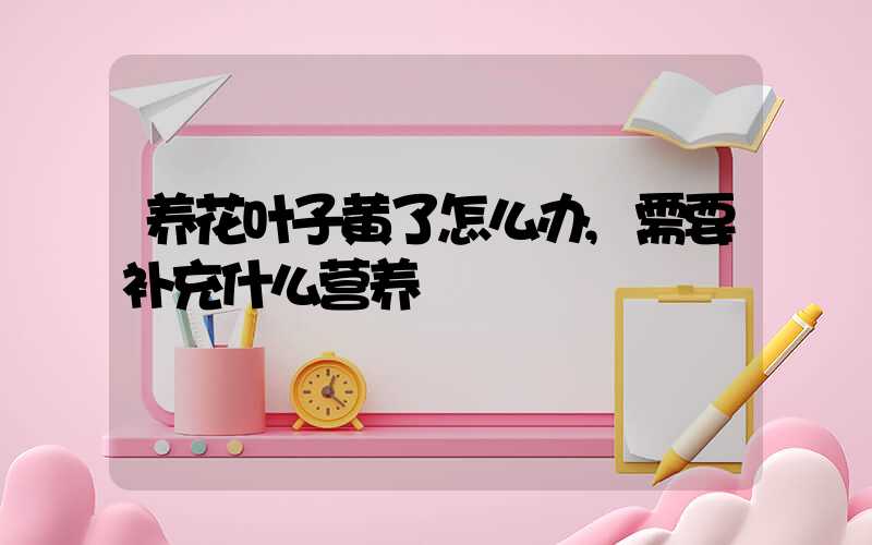 养花叶子黄了怎么办,需要补充什么营养