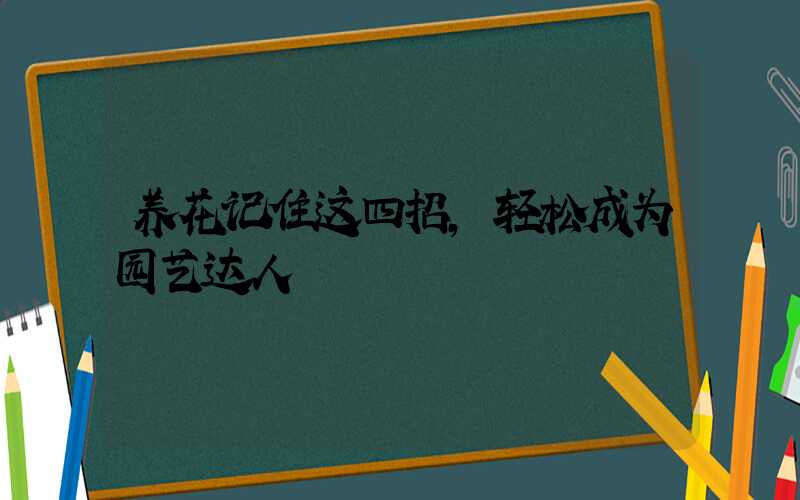 养花记住这四招,轻松成为园艺达人