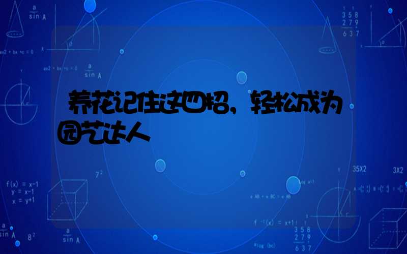 养花记住这四招，轻松成为园艺达人