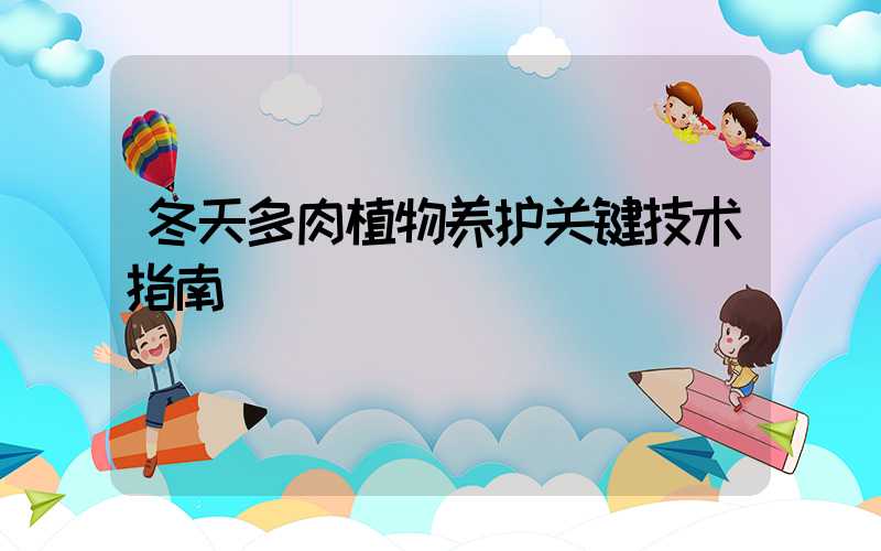 冬天多肉植物养护关键技术指南