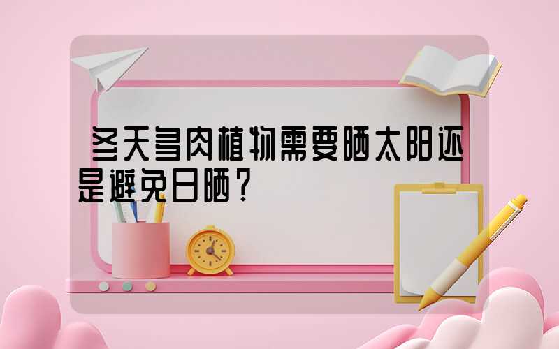 冬天多肉植物需要晒太阳还是避免日晒？