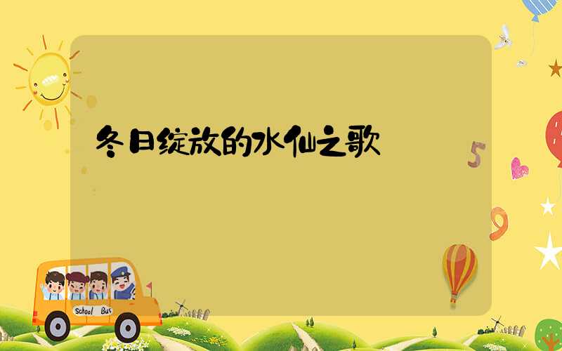 冬日绽放的水仙之歌