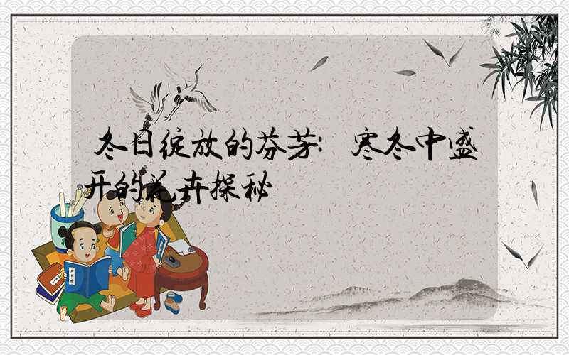 冬日绽放的芬芳:寒冬中盛开的花卉探秘