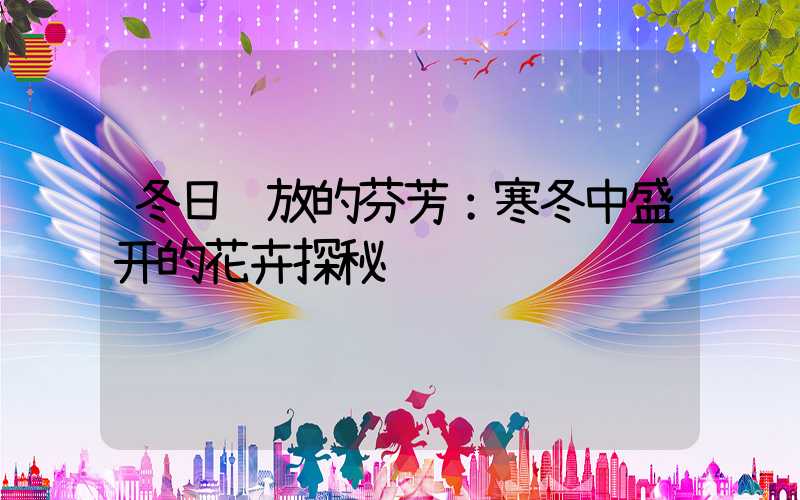 冬日绽放的芬芳：寒冬中盛开的花卉探秘